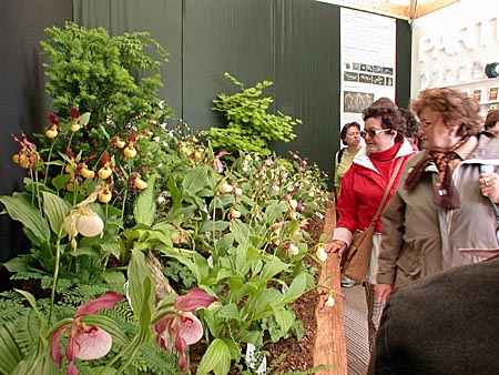 German Garden Show, Munich 2005